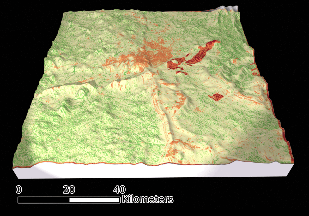 image11 image11